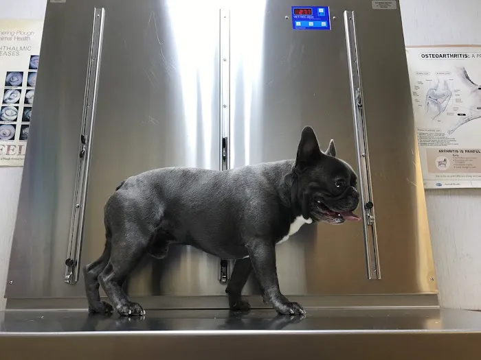 Northdale Animal Hospital Picture 8