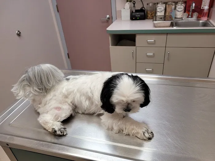 Southpaw Animal Health Picture 2