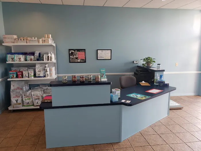 Affordable Pet Hospital Picture 8