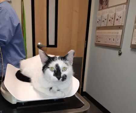 Banfield Pet Hospital