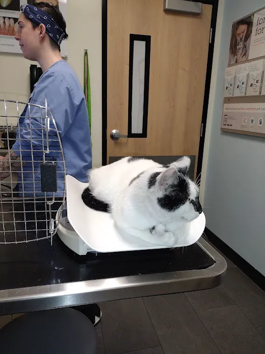 Banfield Pet Hospital Picture 6