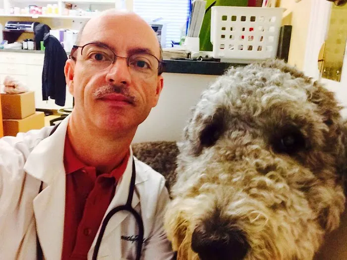 Cross Creek Animal Medical Centre Picture 8