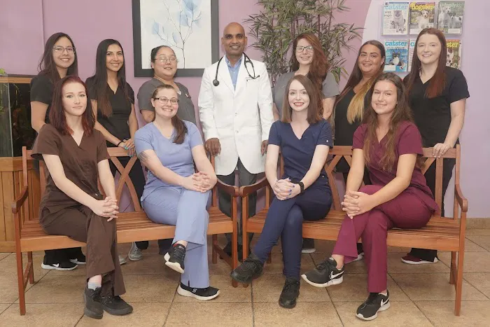 Care Pet Animal Hospital Picture 3