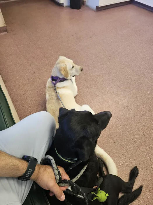 Hidden Hills Animal Hospital Picture 8