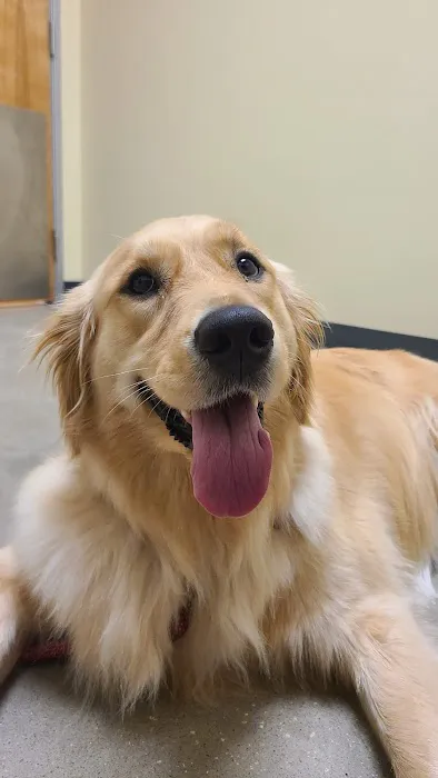 Vetco Total Care Animal Hospital Picture 6