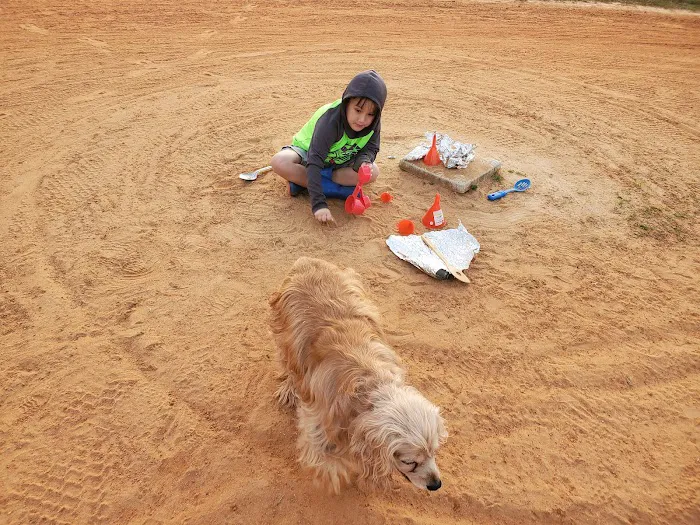 Wonderwood Animal Hospital Picture 1