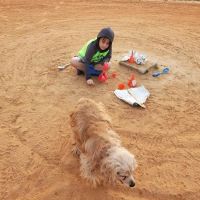 Wonderwood Animal Hospital ico