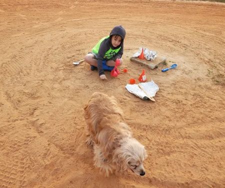 Wonderwood Animal Hospital