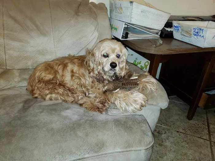 Wonderwood Animal Hospital Picture 4