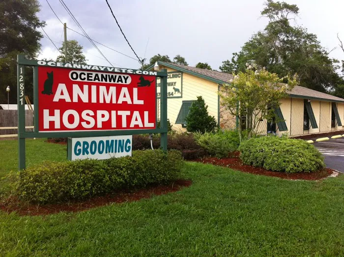 Animal Hospital of Oceanway Picture 3