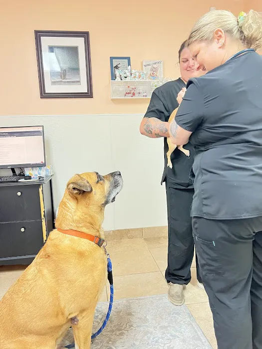 Animal Hospital of Oceanway Picture 7
