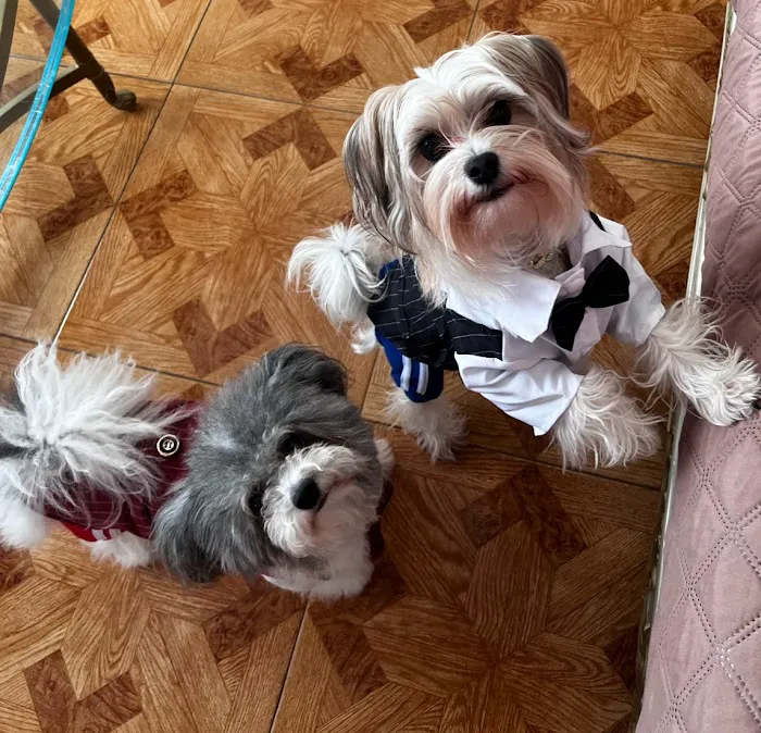 Banfield Pet Hospital Picture 4