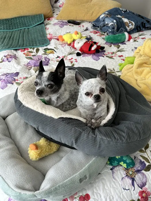 Banfield Pet Hospital Picture 7