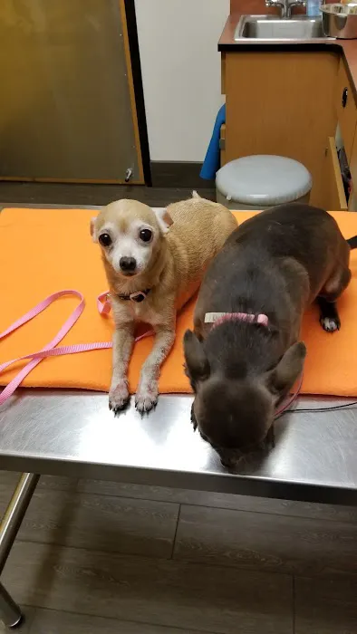 Banfield Pet Hospital Picture 5