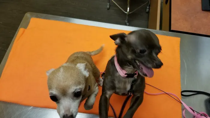 Banfield Pet Hospital Picture 10