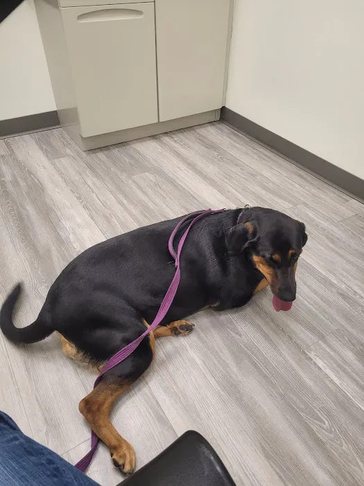 Rivers Edge Veterinary Clinic Picture 2