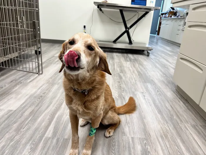 Rivers Edge Veterinary Clinic Picture 4