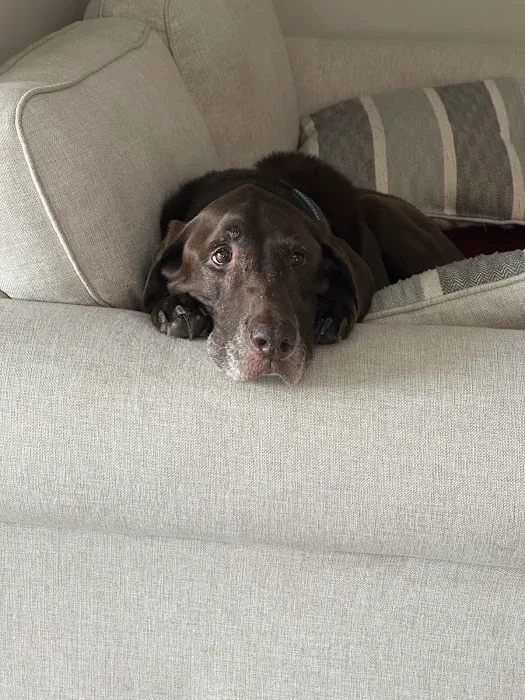 Polly Tails Home Euthanasia Picture 5