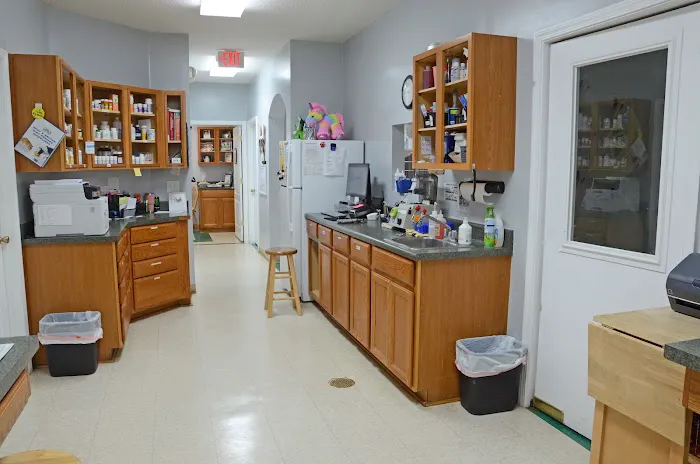 Alta Bluff Animal Hospital Picture 3
