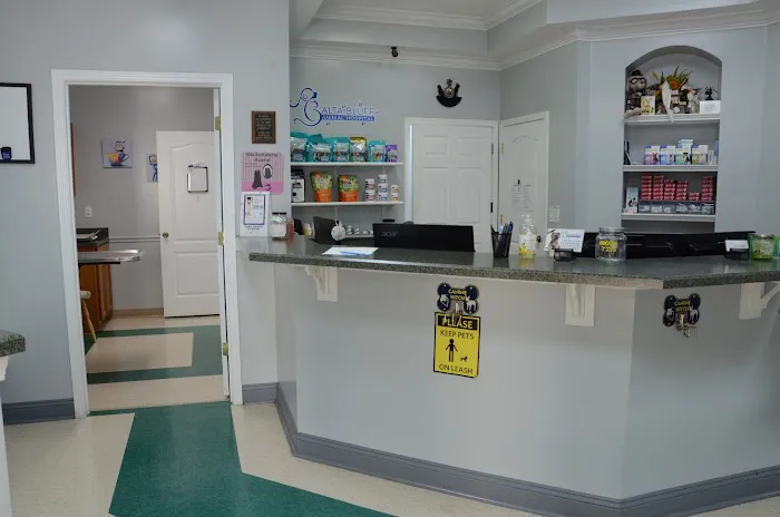 Alta Bluff Animal Hospital Picture 8