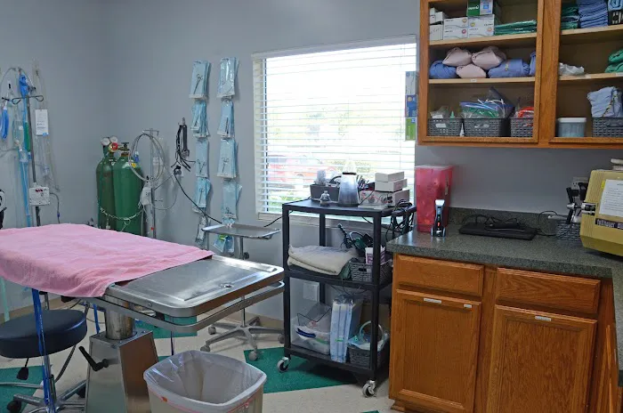 Alta Bluff Animal Hospital Picture 5