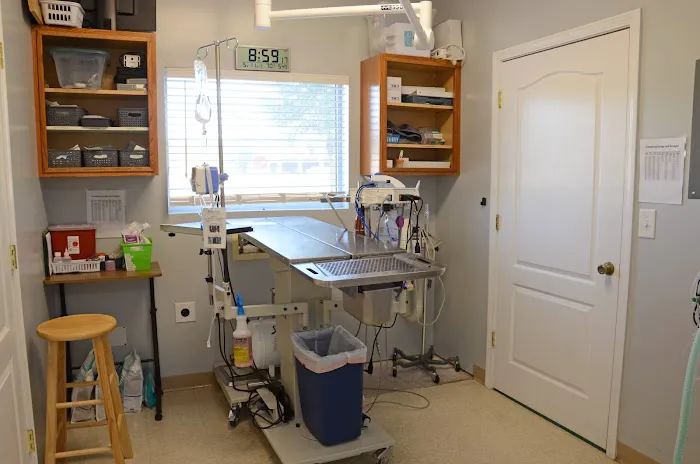 Alta Bluff Animal Hospital Picture 10