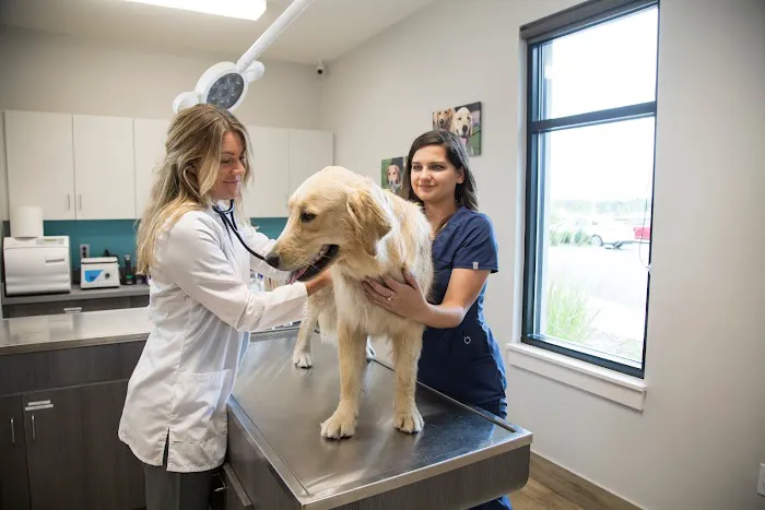 NewDay Veterinary Care Picture 1