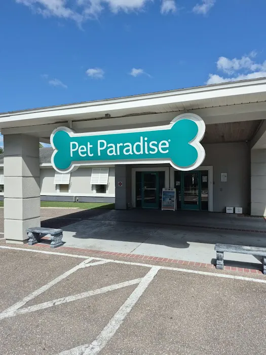 NewDay Veterinary Care Picture 6