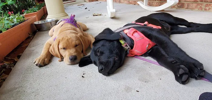 Banfield Pet Hospital Picture 5