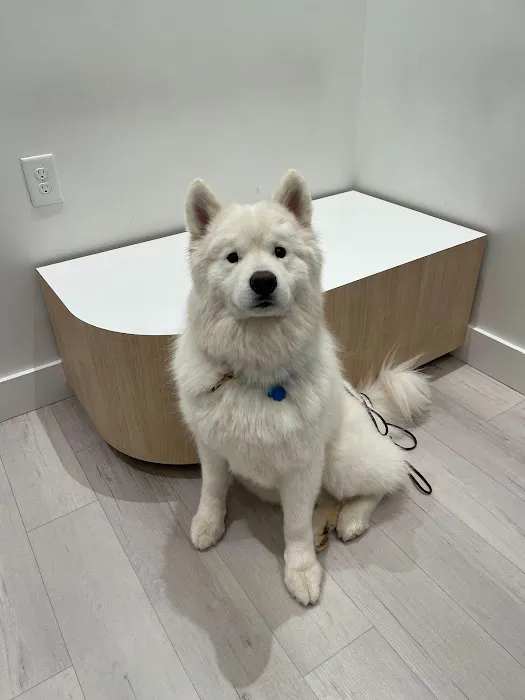 Petfolk Veterinary & Urgent Care - Southside Picture 4