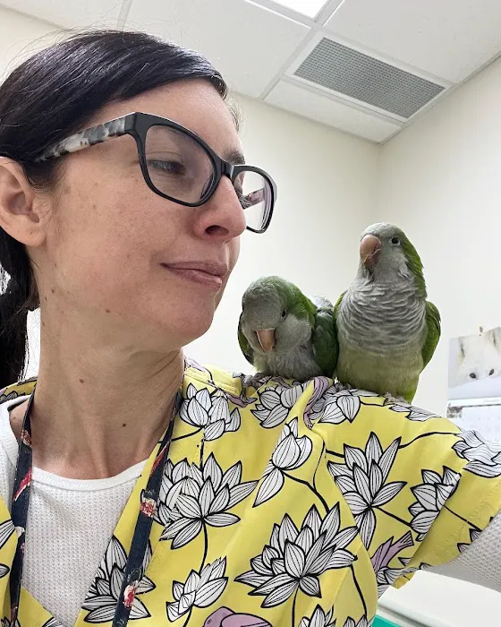 Exotic Bird Hospital Picture 2
