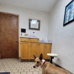 Timuquana Animal Hospital: Cox, Walker, Puckett DVM