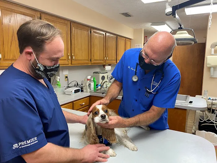 Timuquana Animal Hospital Picture 3