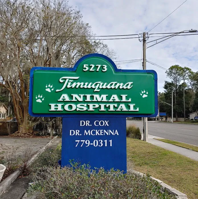 Timuquana Animal Hospital Picture 2