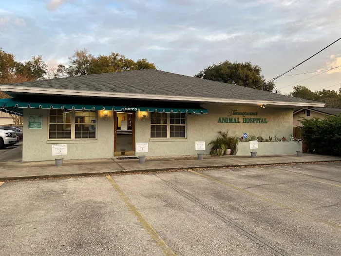 Timuquana Animal Hospital Picture 1