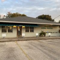 Timuquana Animal Hospital ico