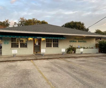 Timuquana Animal Hospital