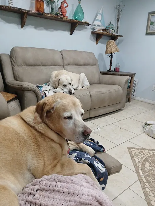 Timuquana Animal Hospital Picture 8