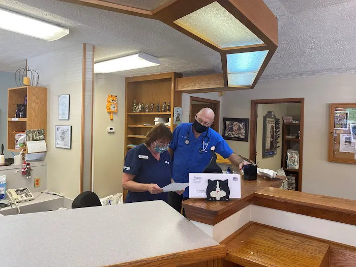 Timuquana Animal Hospital Picture 6