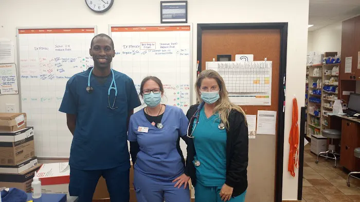 Jax Horizon Vet Imaging Picture 5