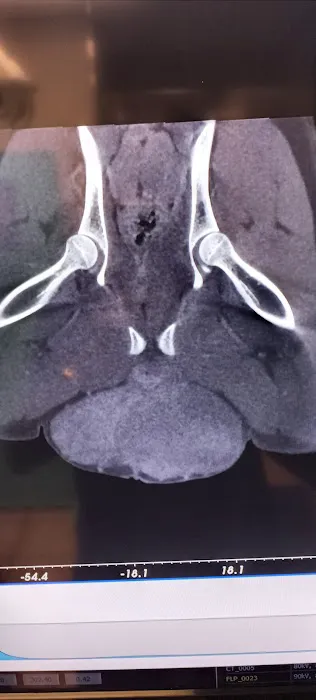 Jax Horizon Vet Imaging Picture 9