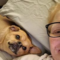 Deerwood Animal Clinic: William Rebecca DVM ico