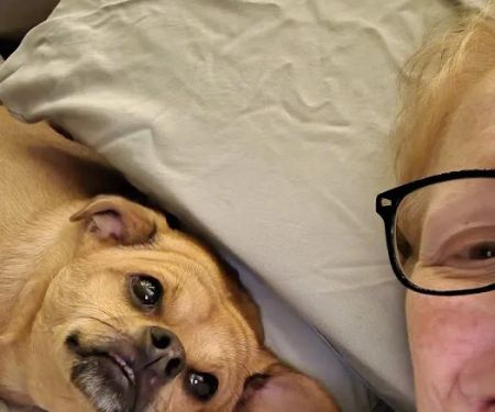 Deerwood Animal Clinic: William Rebecca DVM