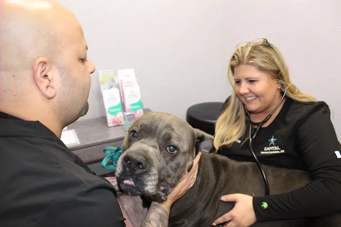 Capital Veterinary Specialists, JAX and Animal ER Picture 2