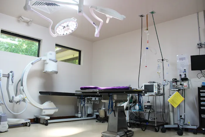 Capital Veterinary Specialists, JAX and Animal ER Picture 5