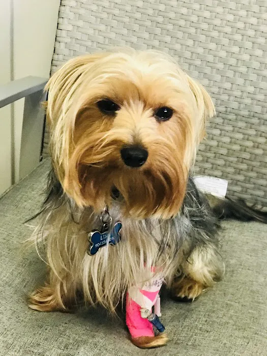Capital Veterinary Specialists, JAX and Animal ER Picture 7