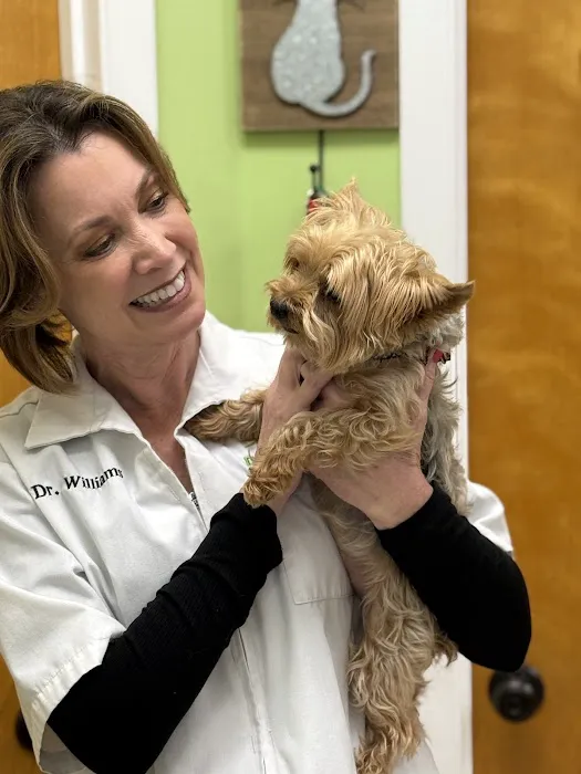 Deerwood Animal Clinic Picture 2
