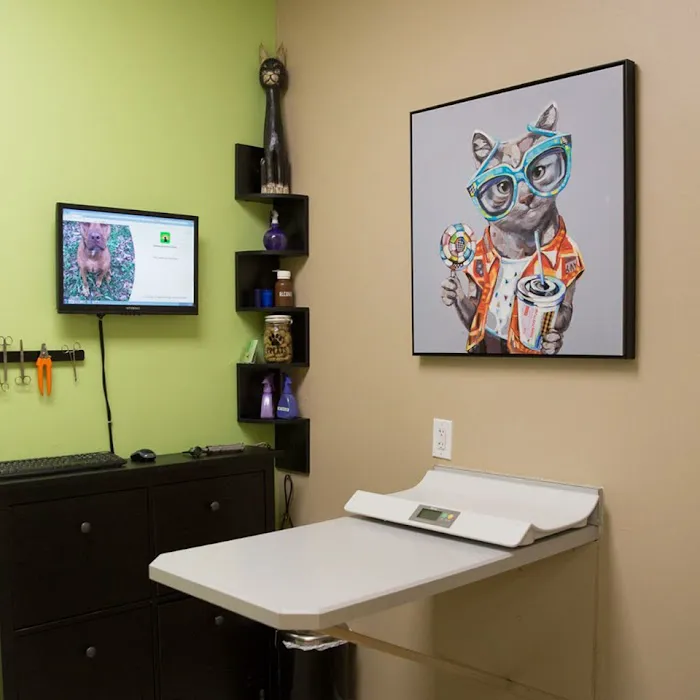 Deerwood Animal Clinic Picture 3