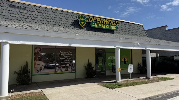 Deerwood Animal Clinic Picture 5