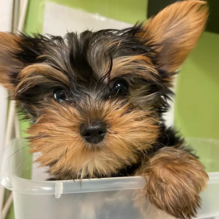 Deerwood Animal Clinic Picture 7